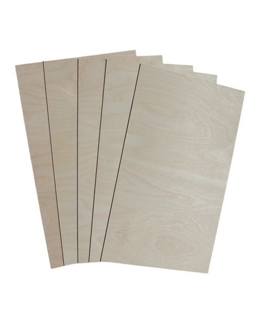5-Pack Baltic Birch Plywood (3mm, 12x20)